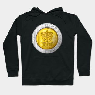 Israel 10 Shekel Coin Hoodie